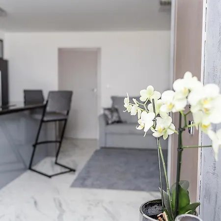 Petra Krk Apartment Krk Town